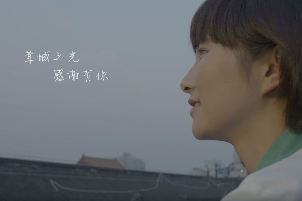 茸城之光
